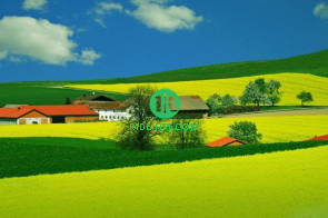 vehicle secondary image